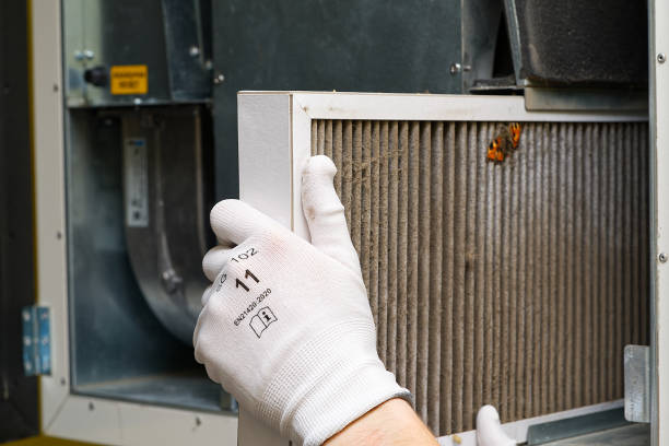Best Dryer Vent Cleaning Services  in Springfield, OH